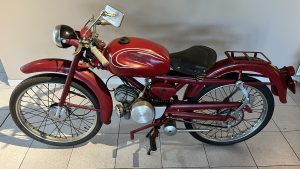GUZZI 73 CARDELLINO