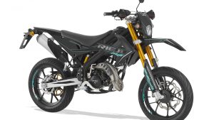 RIEJU 50 SM PRO