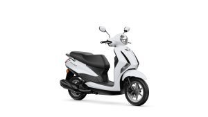 YAMAHA D'ELIGHT 2025